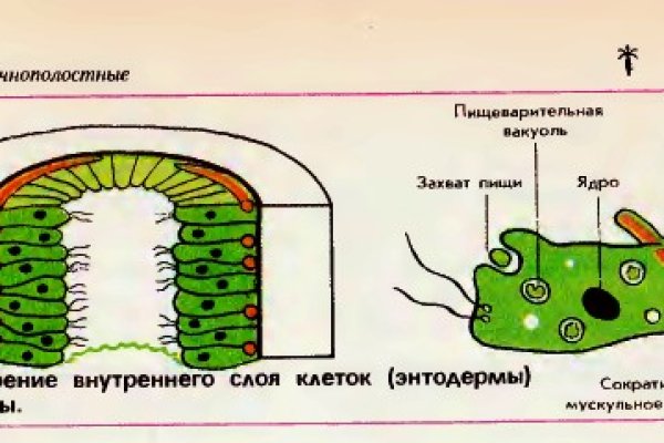 Кракен сайт store