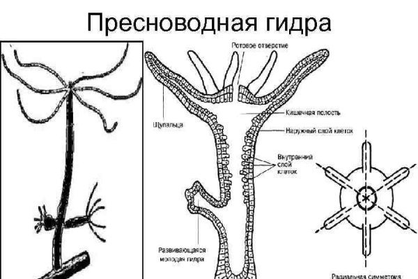 Кракен сайт магазин