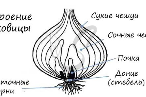 Модератор на кракене